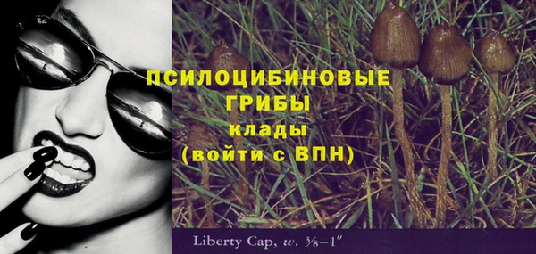 спайс Алексеевка