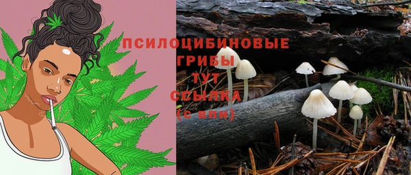 спайс Алексеевка