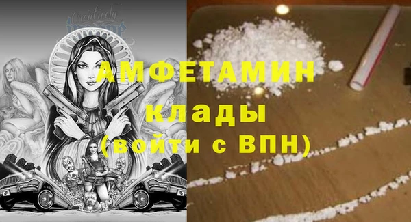 индика Пересвет